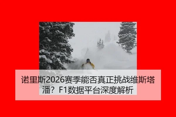 nuo-li-si-sai-ji-neng-fou-zhen-zheng-tiao-zhan-wei-si-ta-pan-shu-ju-ping-tai-shen-du-jie-xi-2-317.jpg
